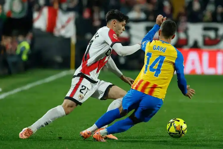 雨燕直播在线观看高清